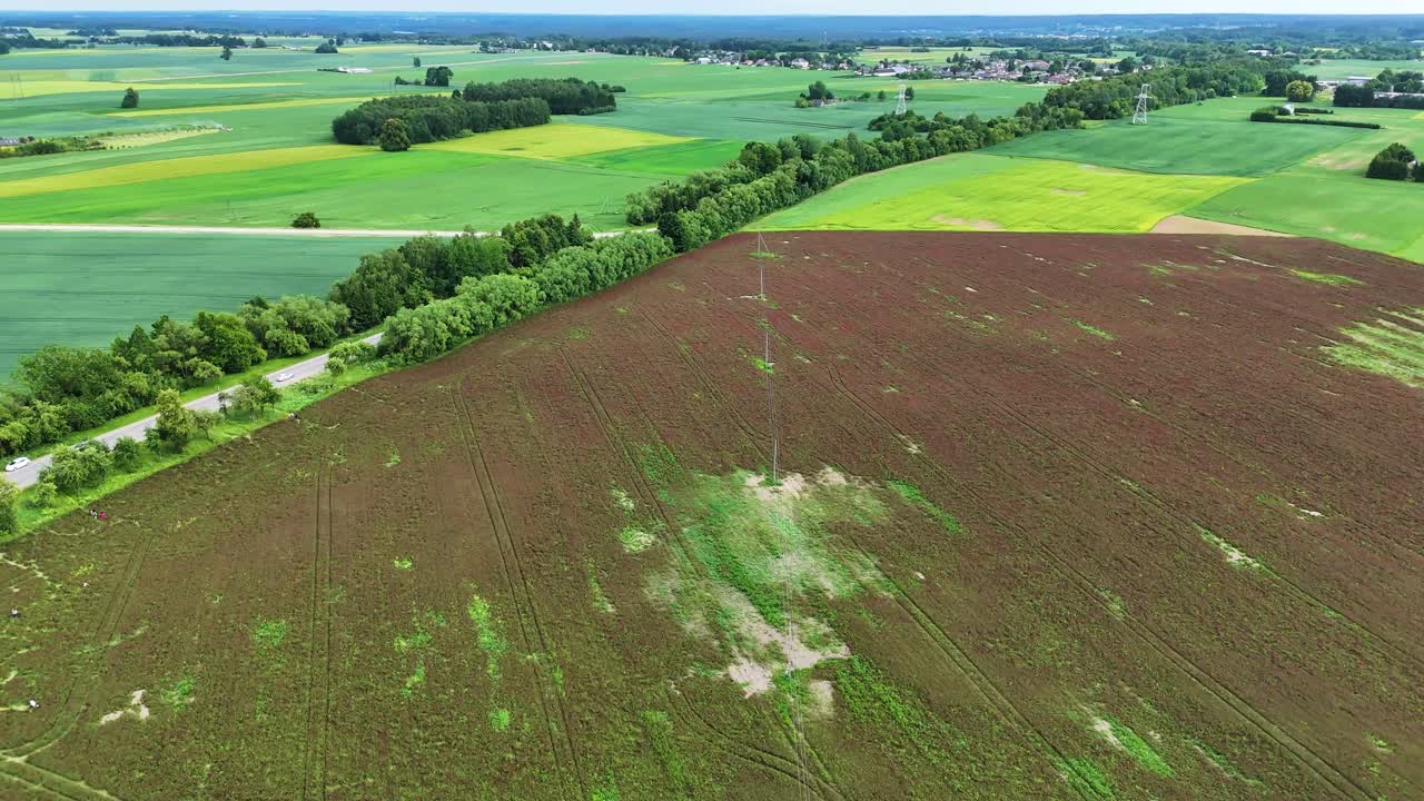 Red clover field surrounded by green agriculture fields in Lithuania, aerial view