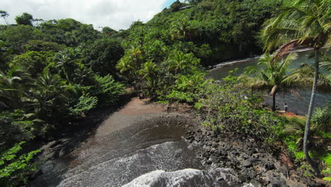 epic fpv aerial shot of idyllic palm trees growing on rocky beach shore of hawaii island during sunny day and blue sky