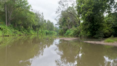 calm river surrounded by lush green trees