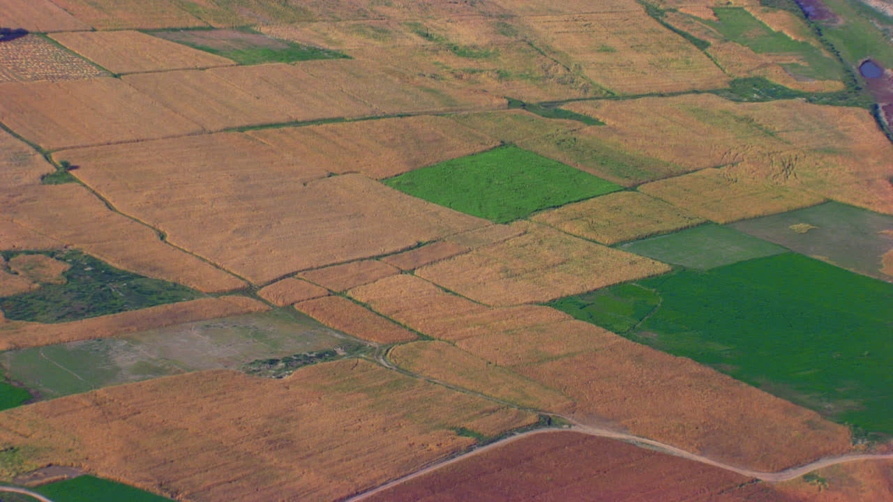 vista aérea de granjas amarillas y verdes con río seco aparte y bosque, camino entre las granjas