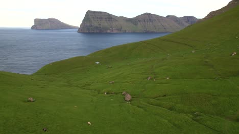 Mossy-cliff-early-in-morning-near-sea