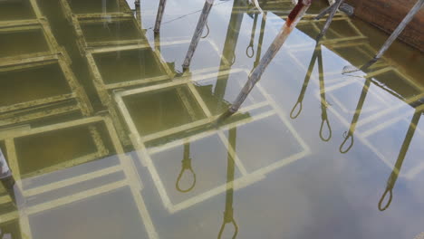 farming oyster in bordeaux, fresh sea food