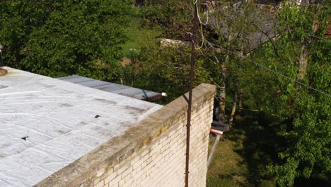 drone rises above dirty brick building passing telephone electric utility wires looking into unkept trees yard