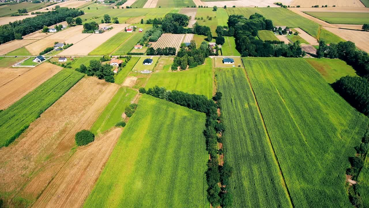 Bird's eye view of agricultural area and green wavy fields in sunny day