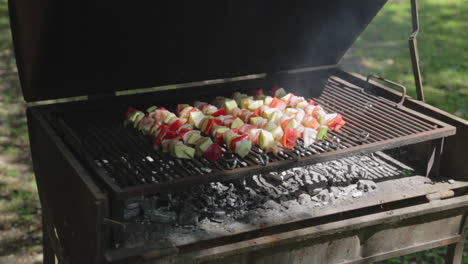 Metal-barrel-grill-cooking-chicken-skewers-brochettes-outdoors-in-camping-site