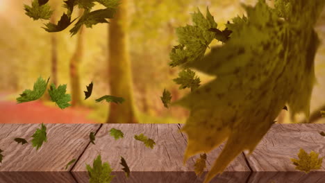 animation von blättern, die über hölzerne tischplatte und bäume im wald wehen