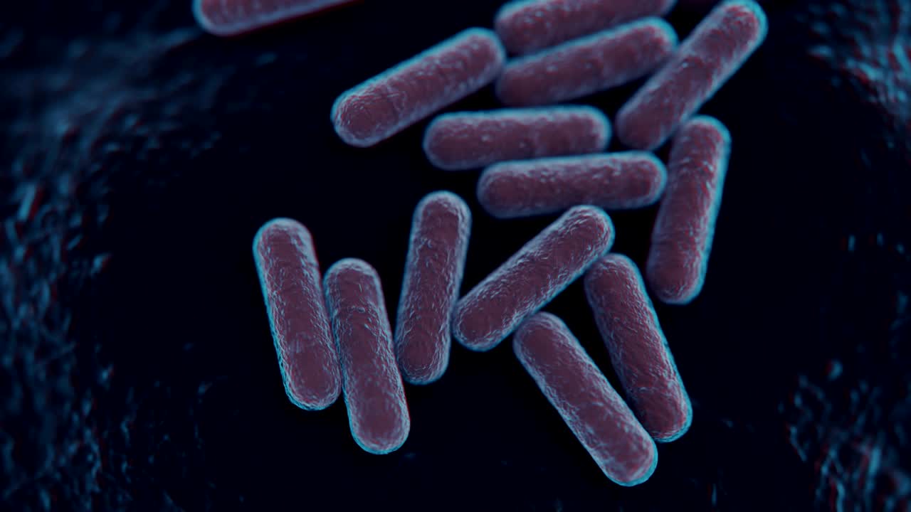 vista microscópica en 4k de una colonia de bacterias.
