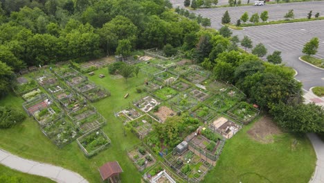 aerial view of a community garden