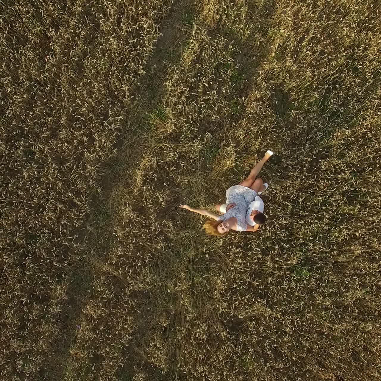 Lovers Walking In A Field