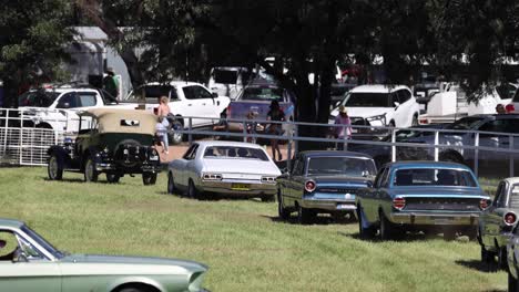 vintage cars displayed in a grassy area