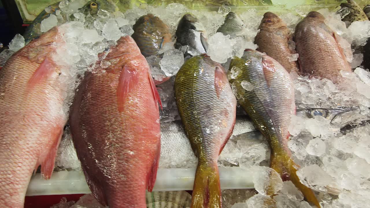 exhibición de pescado fresco en un mercado
