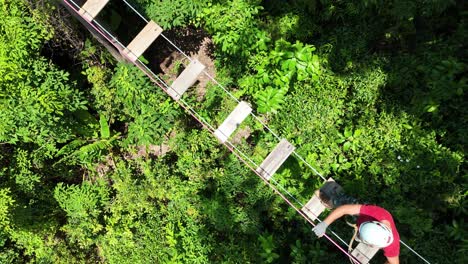 ziplining adventure in the jungle