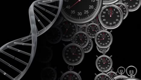 animación de temporizadores que se mueven sobre la cadena de adn sobre un fondo negro
