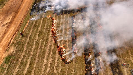 farm worker use drip torch to light flammable vegetation for planned burn, drone