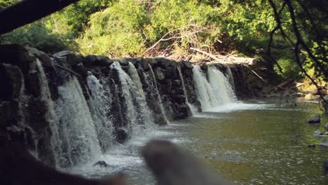 Water-streams-and-flows-over-rock-wall-dam-in-shade-of-tall-trees