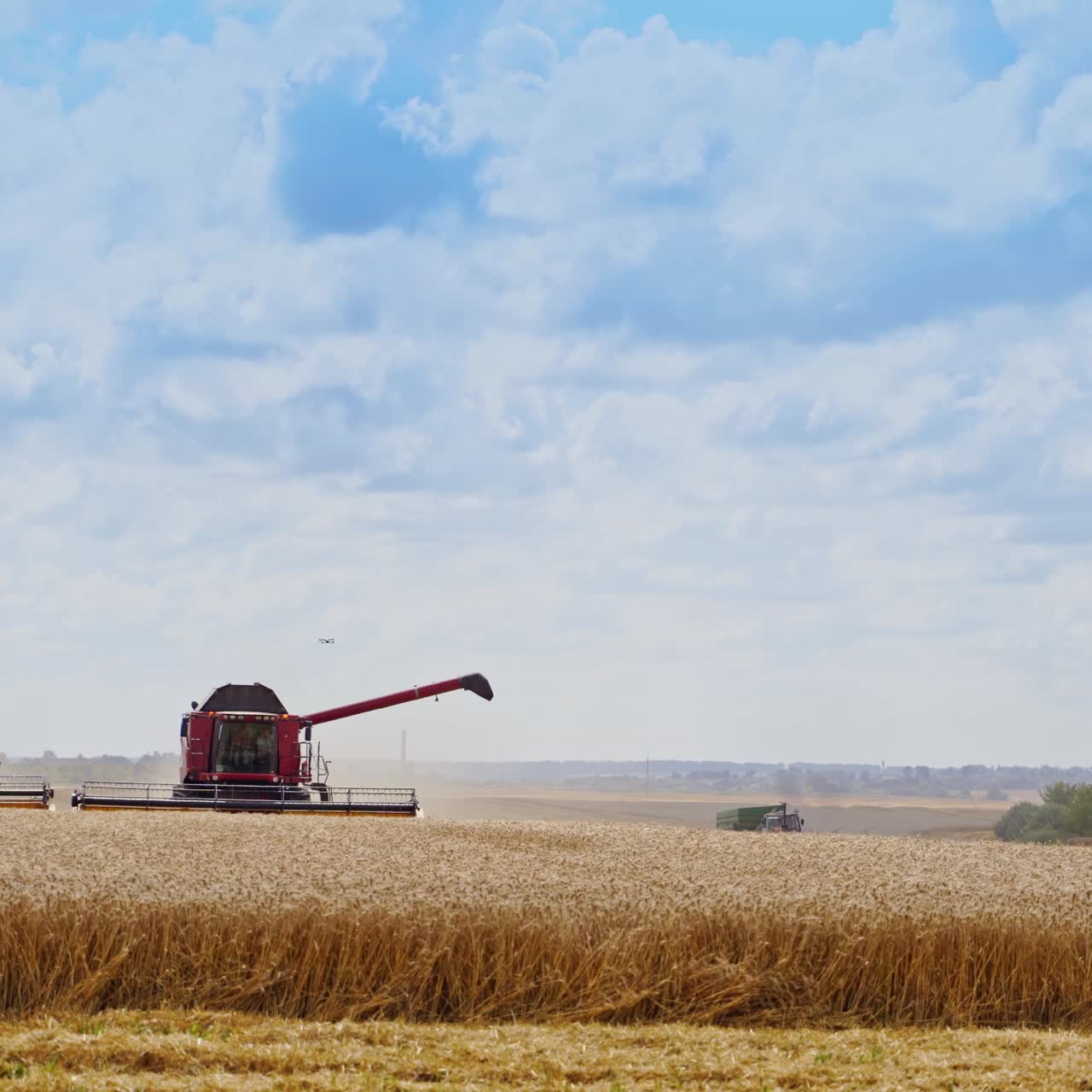 Combine harvesting the wheat