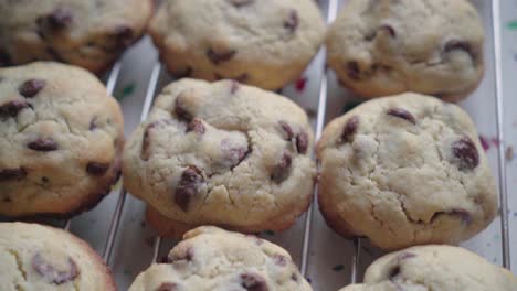 batch of chocolate chip cookies on cooling rack, closeup pan down