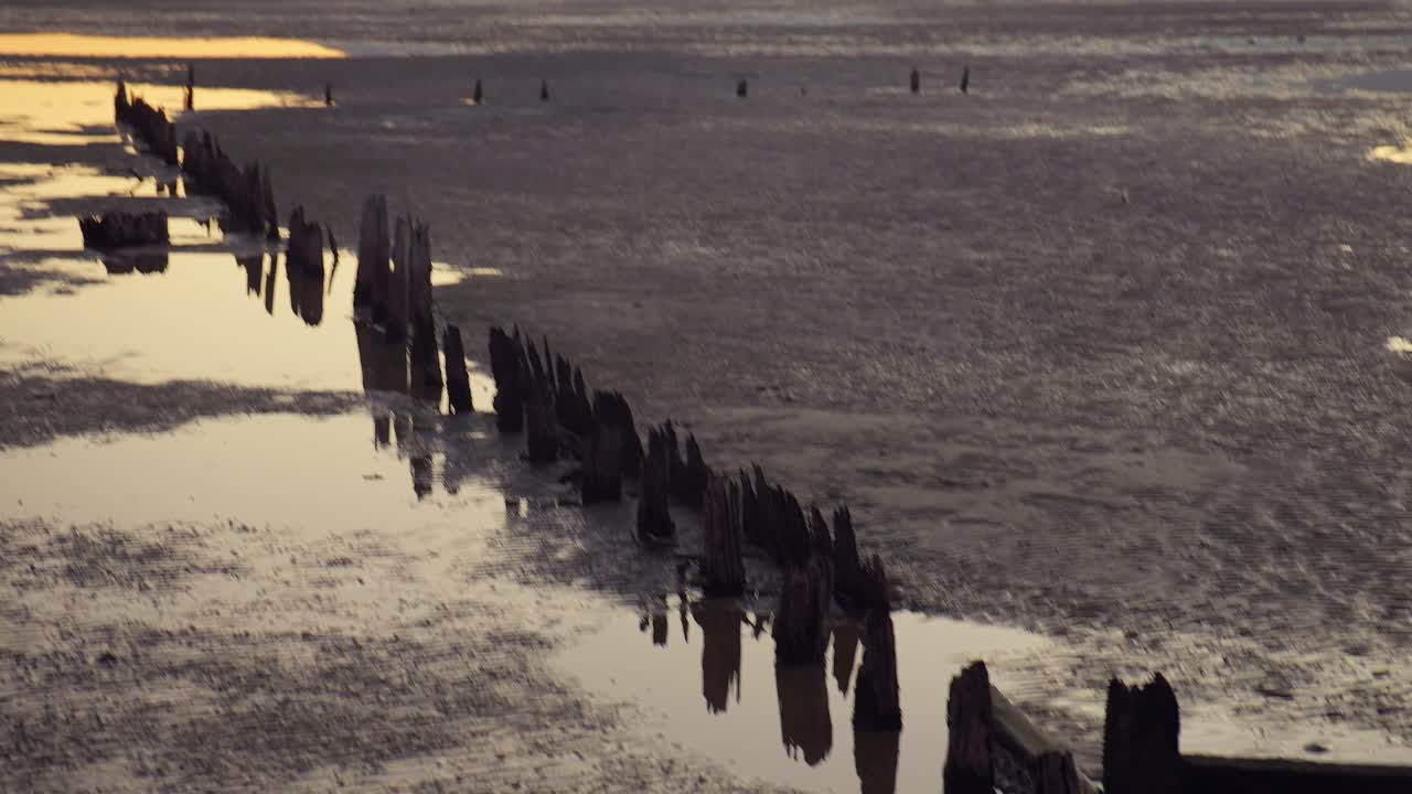 The remains of a pier emerge at low tide during sunset in Tasmania, silhouetted against colorful reflections in the still water.