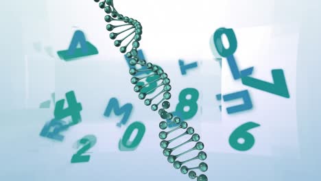 Animation-of-numbers-and-dna-strain-on-white-background