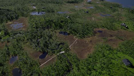 bosque senja y paisaje montañoso inclinando hacia arriba droneshot en el verano del norte de noruega