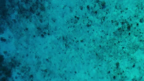 Drone-top-down-static,-crystal-clear-turquoise-Caribbean-sea-on-sunny-day,-light-rays-and-coral