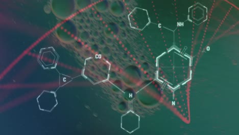 Animación-De-Burbujas-Sobre-Cadena-De-Adn-Y-Fórmula-Química-Sobre-Fondo-Verde