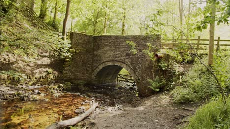 Lapso-De-Tiempo-De-Personas-Cruzando-Un-Viejo-Puente-De-Piedra-En-Medio-De-Un-Bosque,-Distrito-De-Pico,-Derbyshire