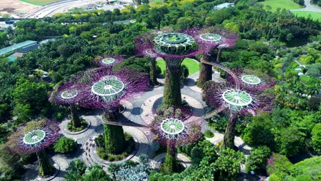 aerial drone over gardens by the bay nature park super tree grove walkway skyway bridge plants trees architecture art design singapore asia