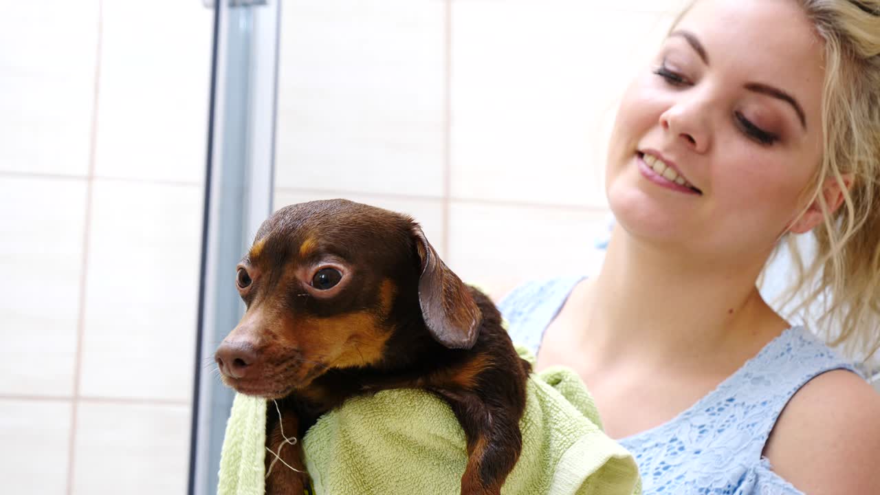 여자 목욕 후 개 를 건조 시키는 것