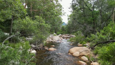 El-Agua-Cae-Lentamente-En-Cascada-Por-Un-Arroyo-En-El-Interior-De-Australia,-Revelando-Un-Billabong-Aislado.