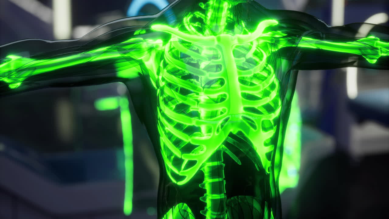 Human skeletal system illuminated in green at a science exhibition