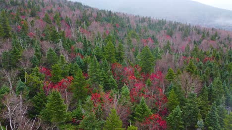 Panoramic-view-of-fall-foliage-colors-from-Mount-Washington,-first-snowflakes,-New-Hampshire,-USA