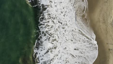 Top-view-of-person-walking-with-dog-at-the-beach-during-sunset-while-wave-rolls-in