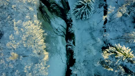 Drone-top-down-pan-follows-winding-river-through-Norwegian-forest-covered-in-snow-at-sunset