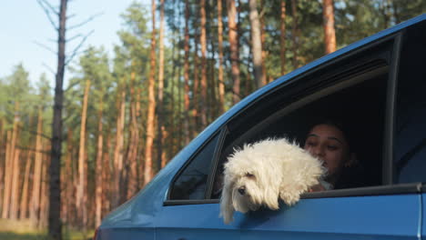 girl and dog in car window