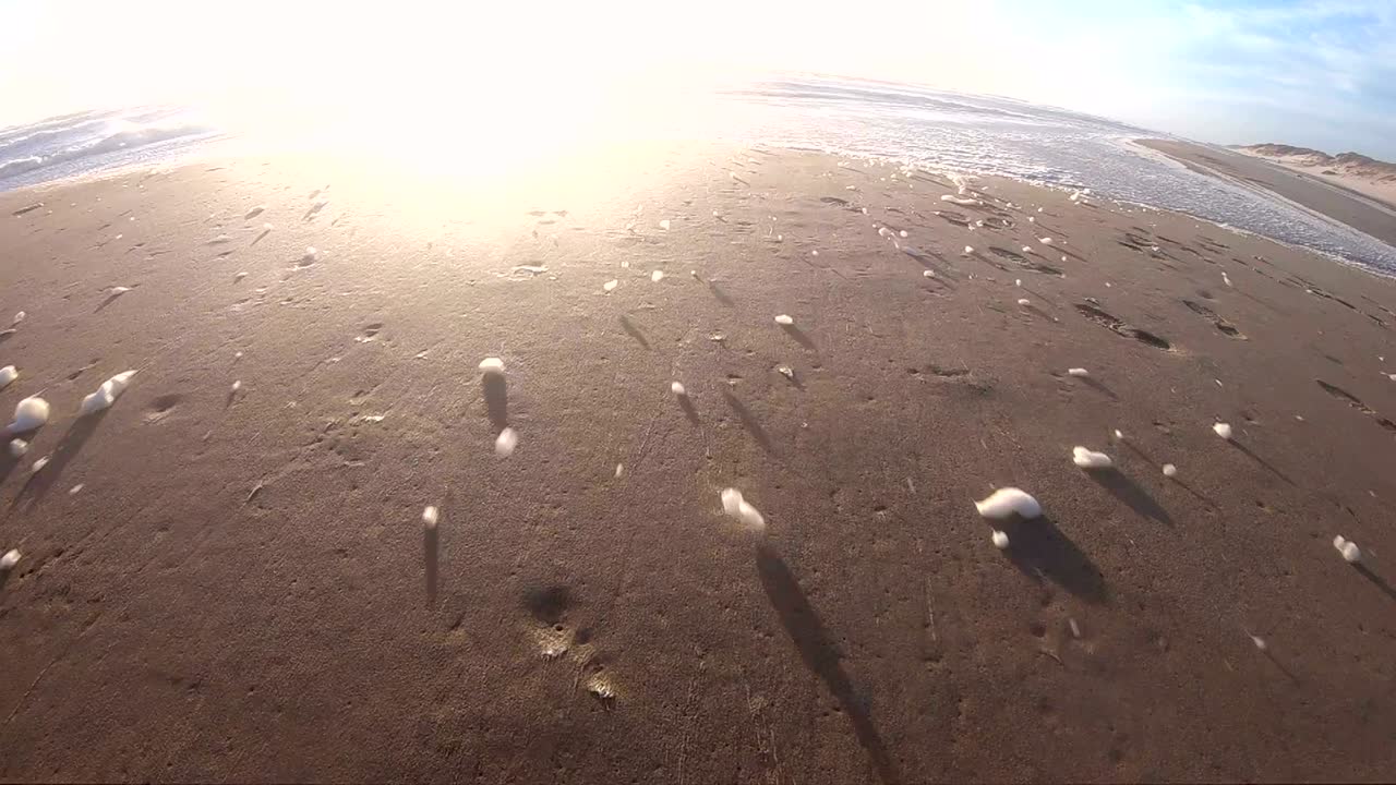 해변에서 폭풍의 해조류 거품, 느린 동작, 모래 해변, 북해, jütland, søndervig, 덴마크, 4k