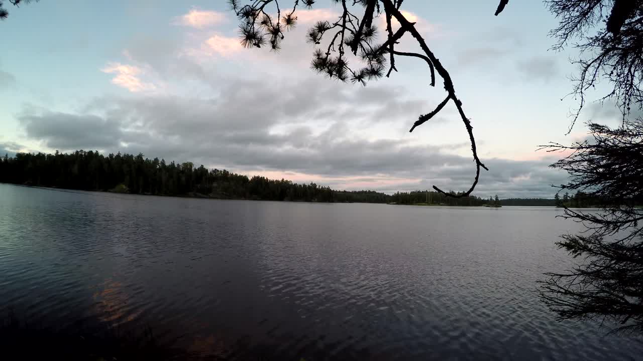 Timelapse af en rolig borealskovsø i Canada om morgenen. Skyer bevæger sig over himlen med fjerne kystlinjetræer synlige under blødt naturligt lys i et fredeligt sommerlandskab.