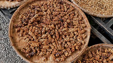 Close-up-shot-of-Indonesian-Kopi-luwak,-from-central-java,-Indonesia---orbit-shot