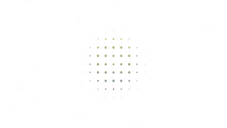 animación de formas coloridas que se mueven sobre un fondo blanco