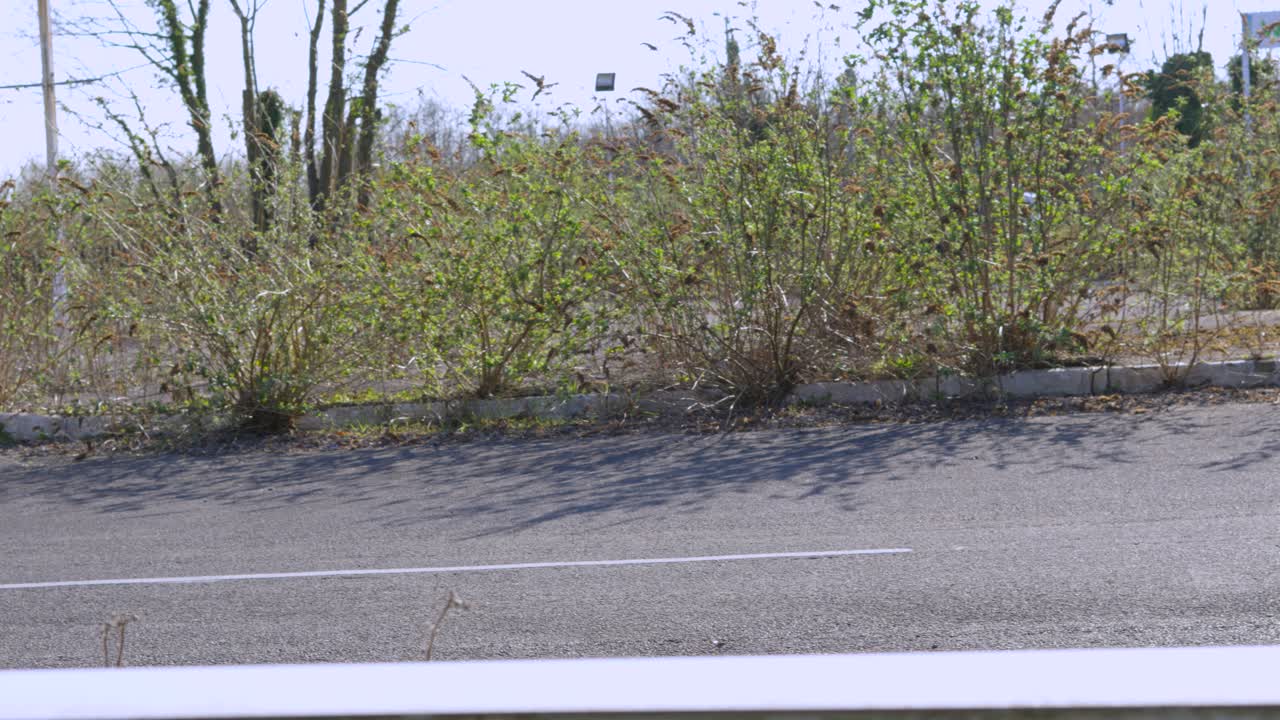 Panning Along Overgrown Bushes in Abandoned Disused Car Park with Weeds Growing Out of Tarmac. Post Apocalcyptic Setting.