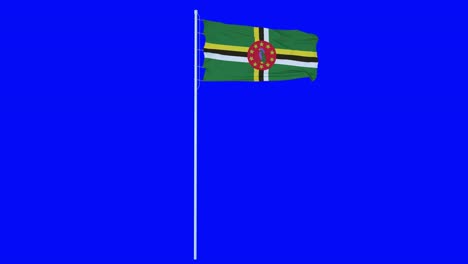 dominica flag waving on wind on green screen or chroma key background. 4k animation
