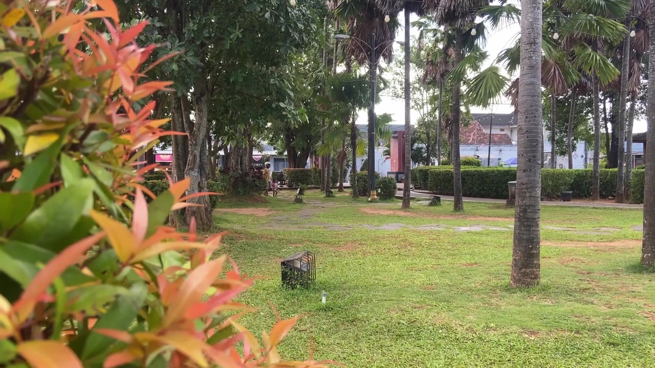 Zoom Out Perlahan dari Taman yang Damai dengan Tanaman Hijau yang Asri