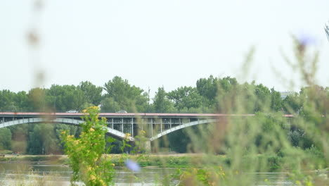 Bäderbrücke-über-Den-Fluss,-Betrachtet-Durch-Verschwommene-Blumen-An-Einem-Sonnigen-Tag---Warschau