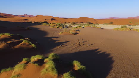 drone shot following gemsbok running across a sunlit desert landscape in namibia