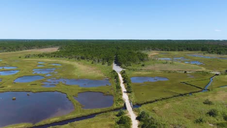 Luftaufnahme-Der-Nationalparklandschaft,-Des-Forschungsreservats,-Des-Feuchtgebiets-Und-Des-Waldes