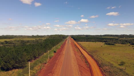 camino en un lugar rural