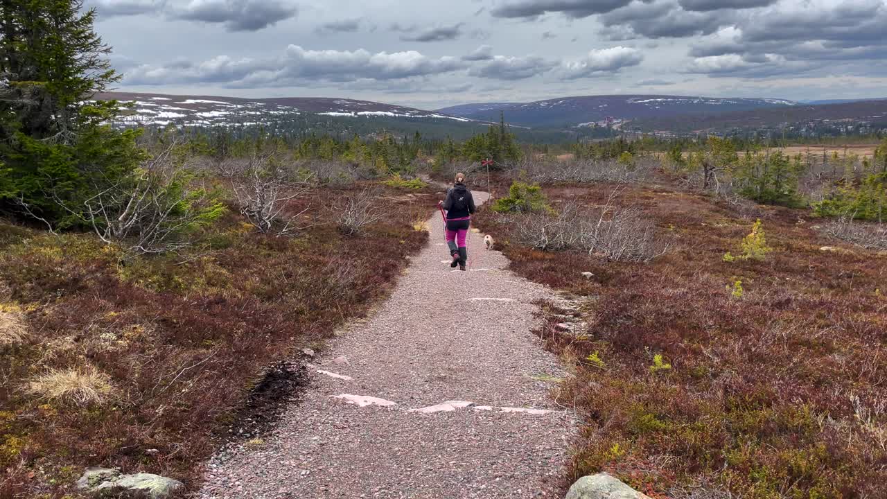 산꼭대기가 앞에 있는 산길을 걷고 있는 여자와 그녀의 개