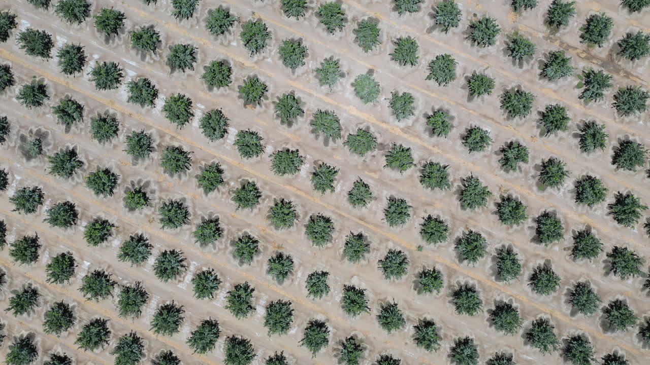 un dron capturó una toma aérea en el sentido de las agujas del reloj de palm springs, california, cerca de los ángeles.