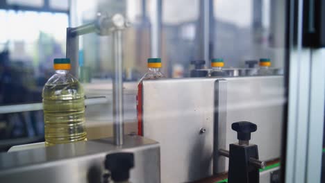 bottles with fresh oil. conveyor line for bottling and packing