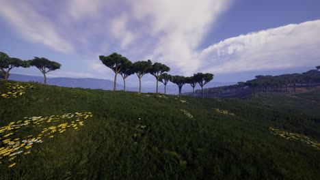 serene valley with majestic trees under a bright sky at midday